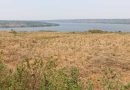 10 hectares of land for sale near Lake Mugesera-Ngoma District