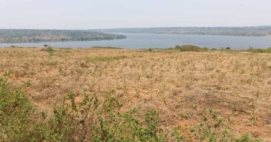 10 hectares of land for sale near Lake Mugesera-Ngoma District