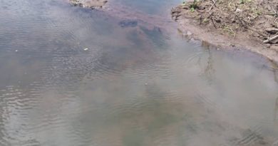 10 HECTARE Z’UBUTAKA ZIGURISHWA