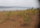 BUGESERA: THIS 3.15HECTARES OF LAND NEAR LAKE CYOHOHA-SOUTH HAS TO BE SOLD AT RWF 100MILLIONS  THIS LAND TOUCHES ON LAKE CYOHOHA-SOUTH AS YOU ARE SEING.  IT IS IN BURENGE CELL, KAMABUYE SECTOR, BUGESERA DISTRICT IN EASTERN PROVINCE OF RWANDA.  LAND SIZE: 3.15 HECTARES  LAND USE: AGRICULTURE  BUT YOU CAN USE IT ALSO IN BREEDING OF VARIOUS ANIMALS, HERE YOU CAN BUILD HOTELS, SCHOOLS AND OTHER ASSETS.