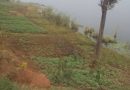 BUGESERA: HEGITARI EBYIRI N’IBICE BITANDATU(2.6HA) ZIGURISHWA 75MILLIONS KU MAZI KAMABUYE   UBU BUTAKA BUKORA KU KIYAGA CYA CYOHOHA Y’EPFO( CYOHOHA-SUD), NI MU MURENGE WA KAMABUYE, AKAGALI KA BURENGE MU KARERE KA BUGESERA.