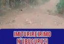 IMITURIRE HARIMO N’UBUCURUZI 8472.93sqm HARIMO N’INZU BUGESERA NGERUKA KURI 40M UBU +250787089254