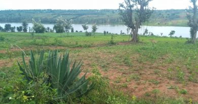 UTAGUZE IYI SAMBU IGURISHWA BUGUFI N’IKIYAGA BUGESERA-KAMABUYE WAGURA IYIHE YINDI?