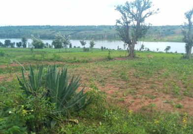 UTAGUZE IYI SAMBU IGURISHWA BUGUFI N’IKIYAGA BUGESERA-KAMABUYE WAGURA IYIHE YINDI?