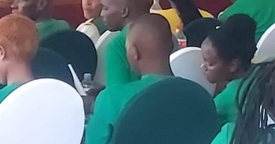 Politiki:Ishyaka Green Party mu ishusho nshya y’intambwe y’ubutegetsi bw’u Rwanda mu nzira ya Demokarasi.